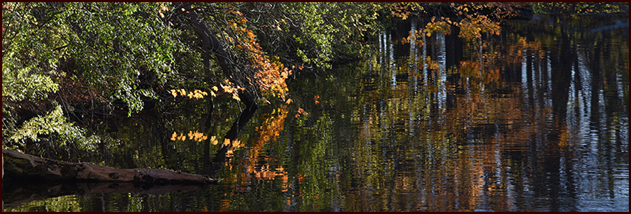 Down Where the River Meets the Road header